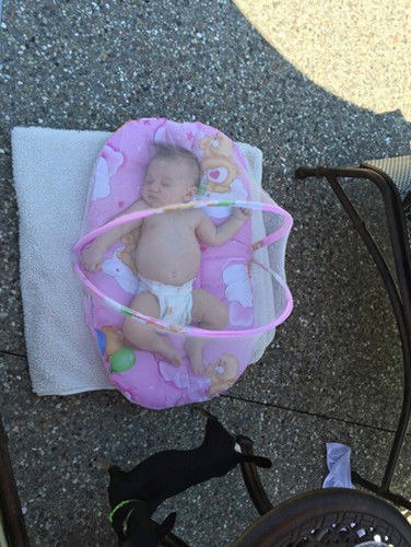 Mosquito Net Sleeping Cushion